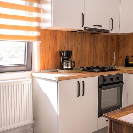 Nina House Apartment Targu Jiu Room photo