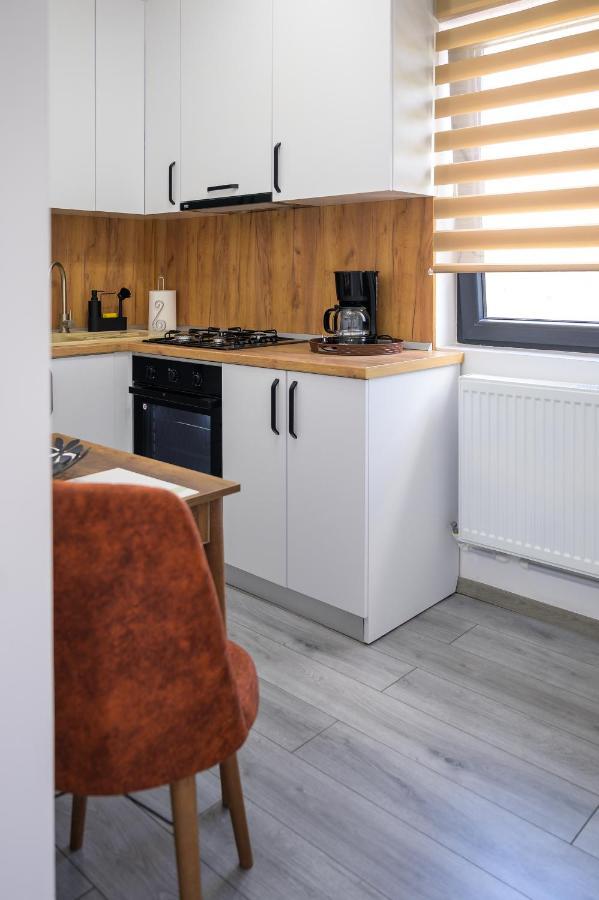 Nina House Apartment Targu Jiu Exterior photo